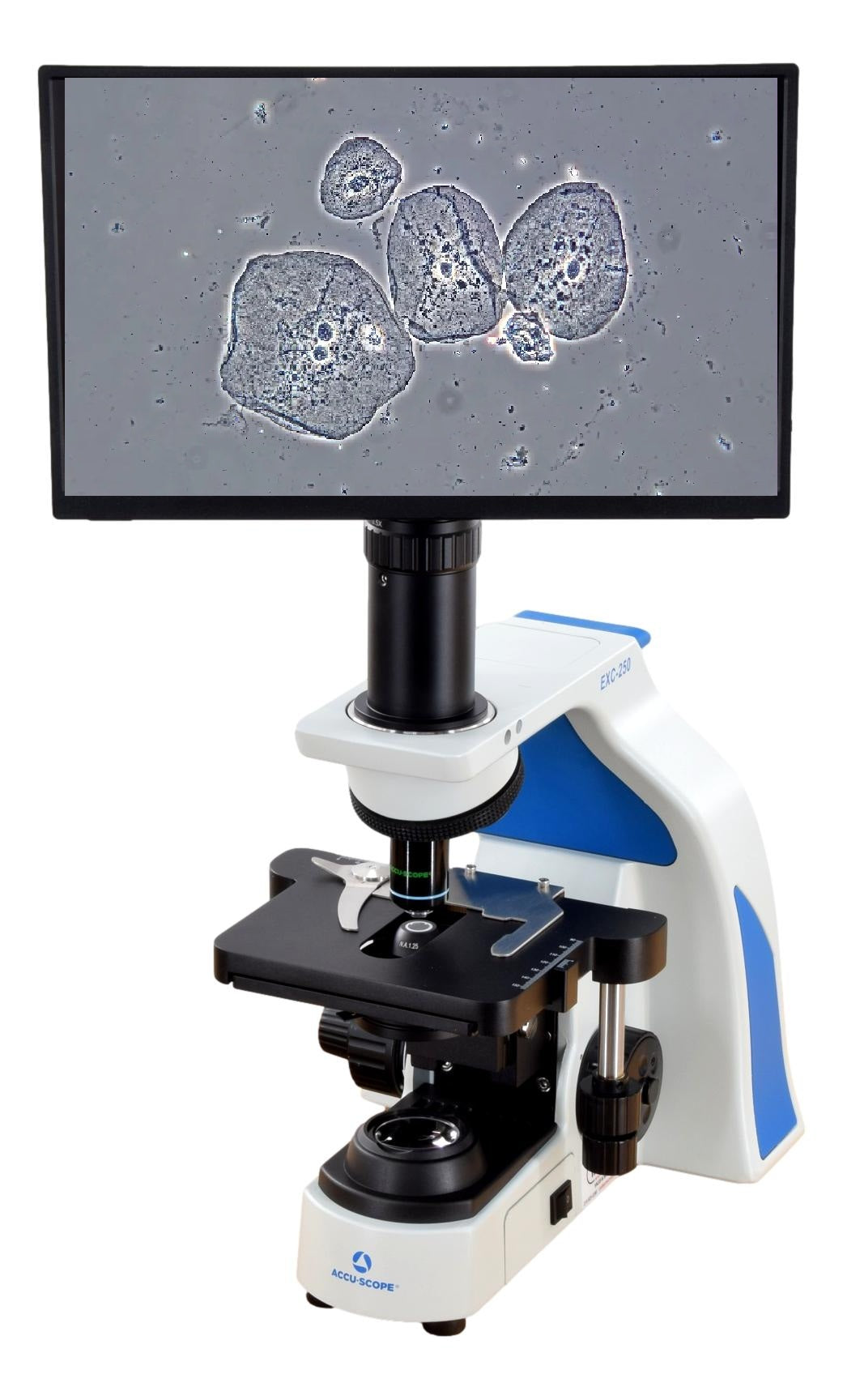 Accu-Scope EXC-250 Periodontist 4K Spirochete & Bacteria Microscope