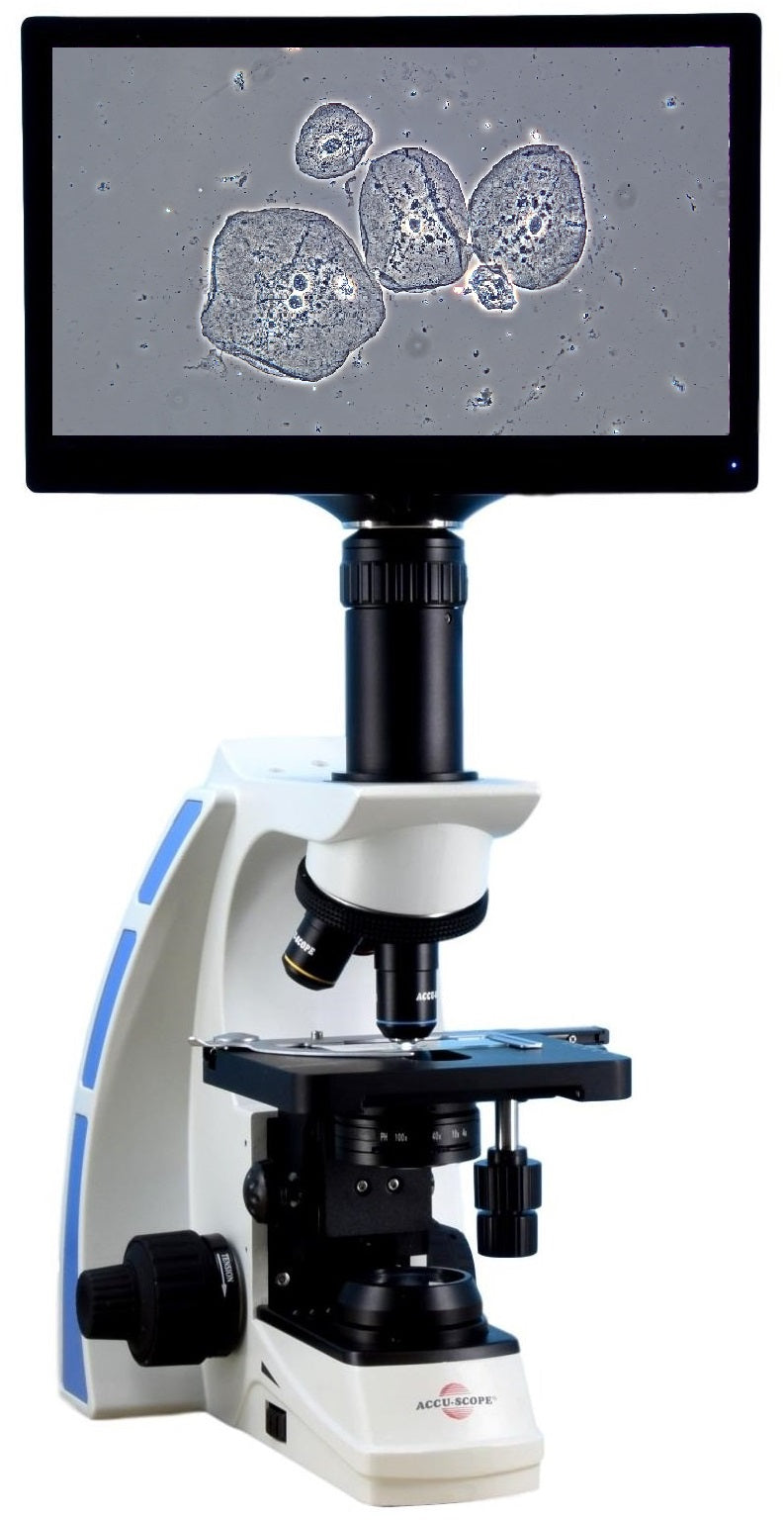 Accu-Scope 3000 Periodontist 4K Spirochete & Bacteria Microscope