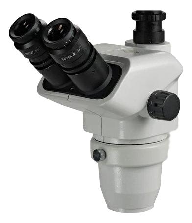 Accu-Scope 75-3332