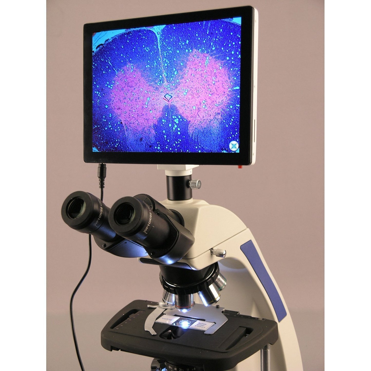 AmScope 40X-2500X Infinity Plan Laboratory Compound Microscope with LCD Touch Pad Screen