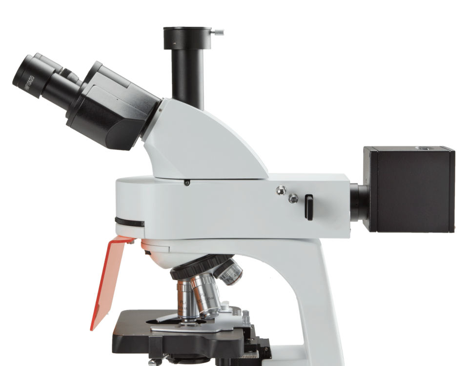Euromex bScope LED Fluorescence Microscope