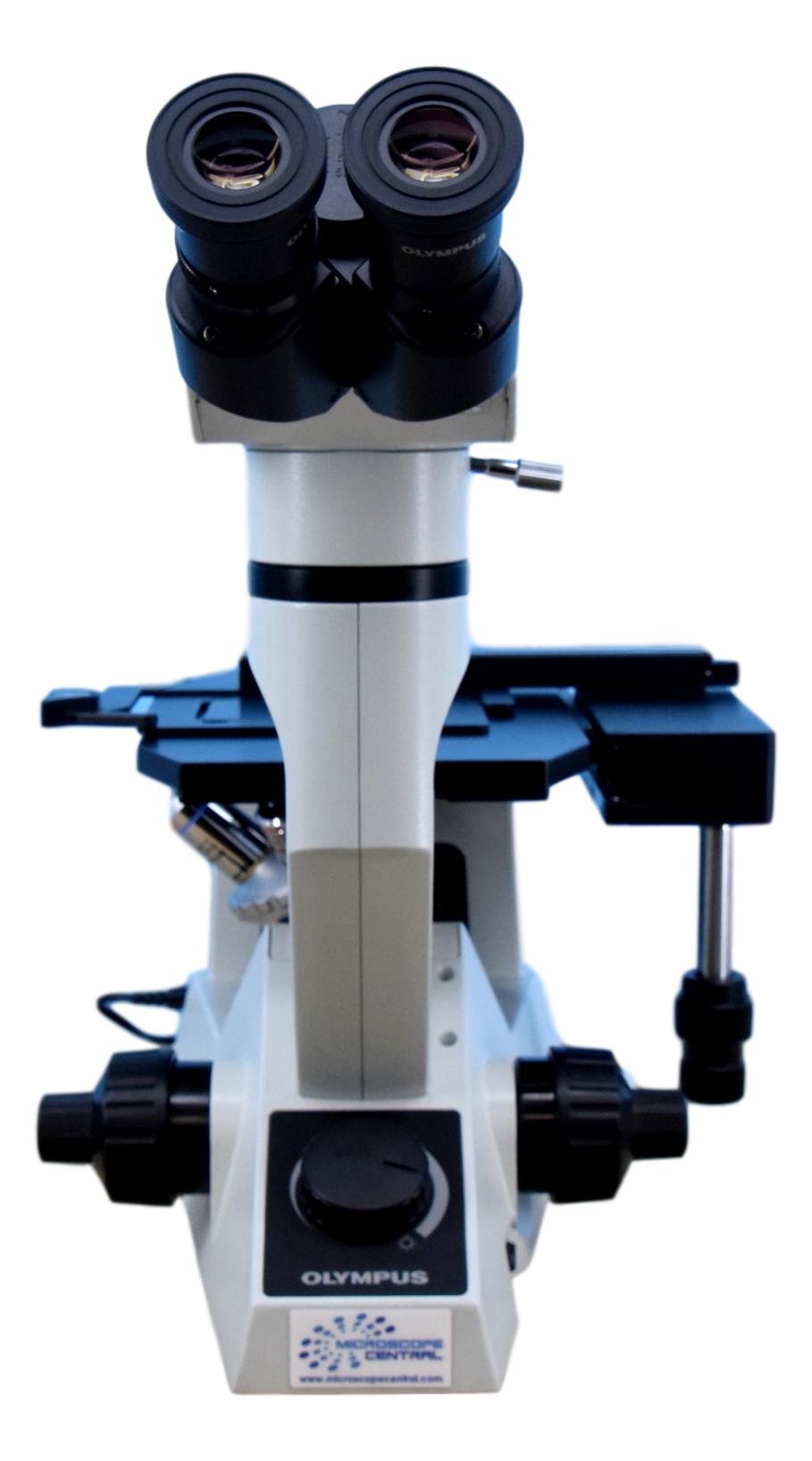 GX41 Microscope