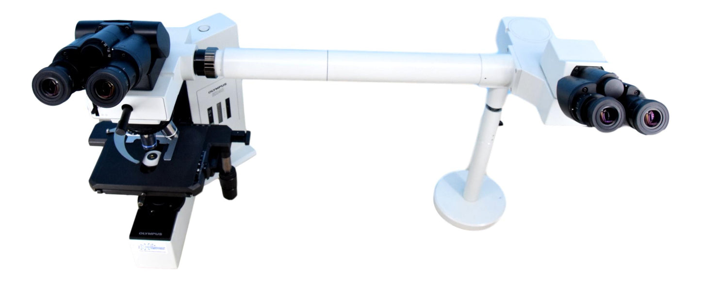 Olympus BX40 Dual Viewing Microscope - Side-By-Side