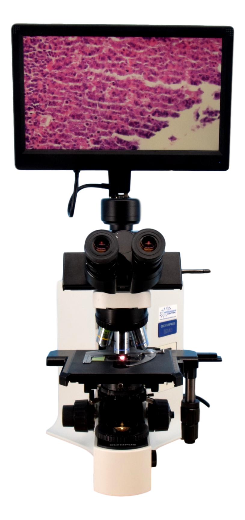 Olympus Microscope With Camera Price Olympus BX41 HD Digital