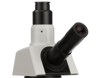 Accu-Scope 120-3152