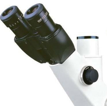 Eyepieces for Accu-Scope EXI-300 Microscope - Microscope Central
