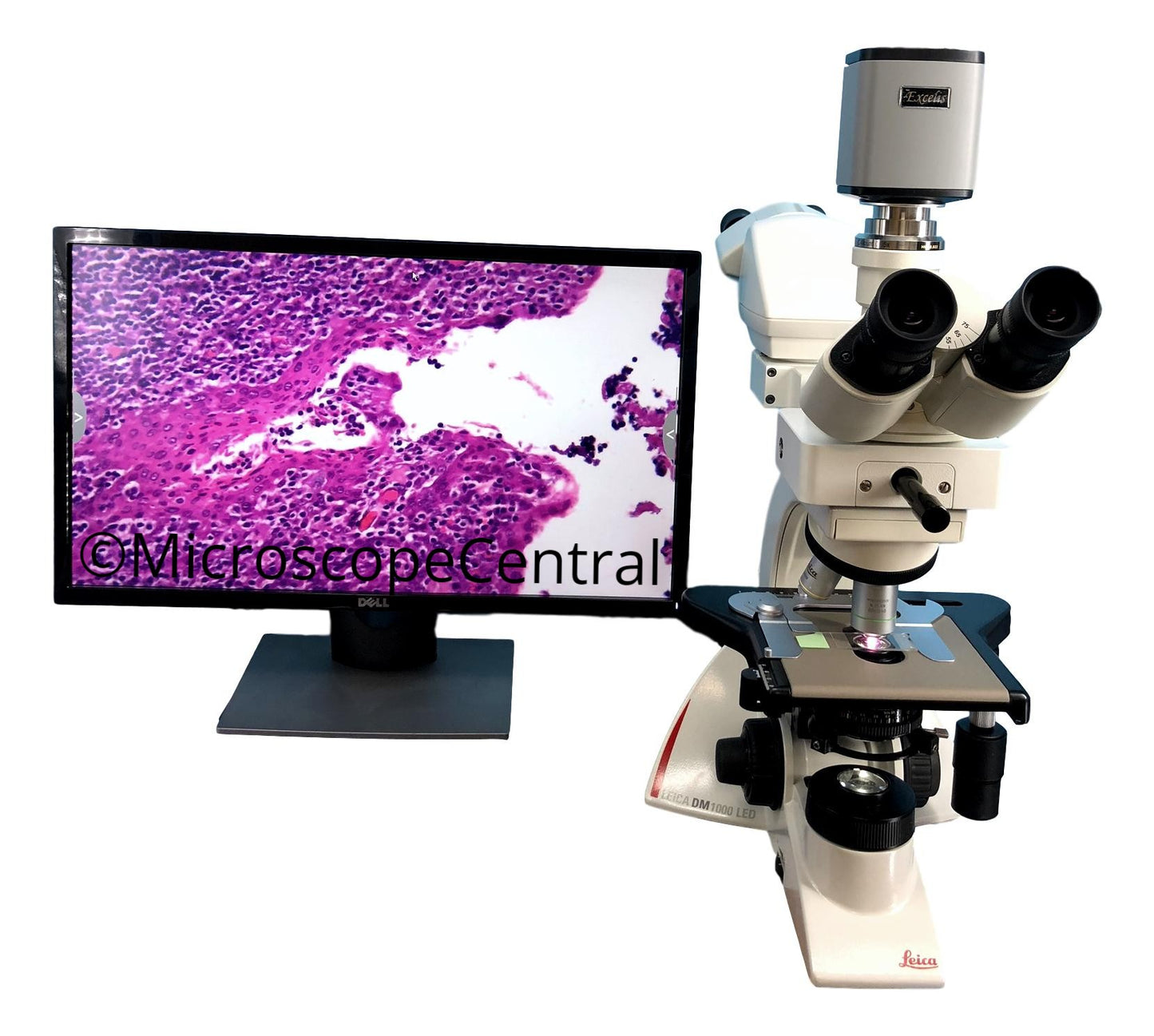 Leica DM1000 Dual Viewing Digital Pathology Microscope - Face To Face