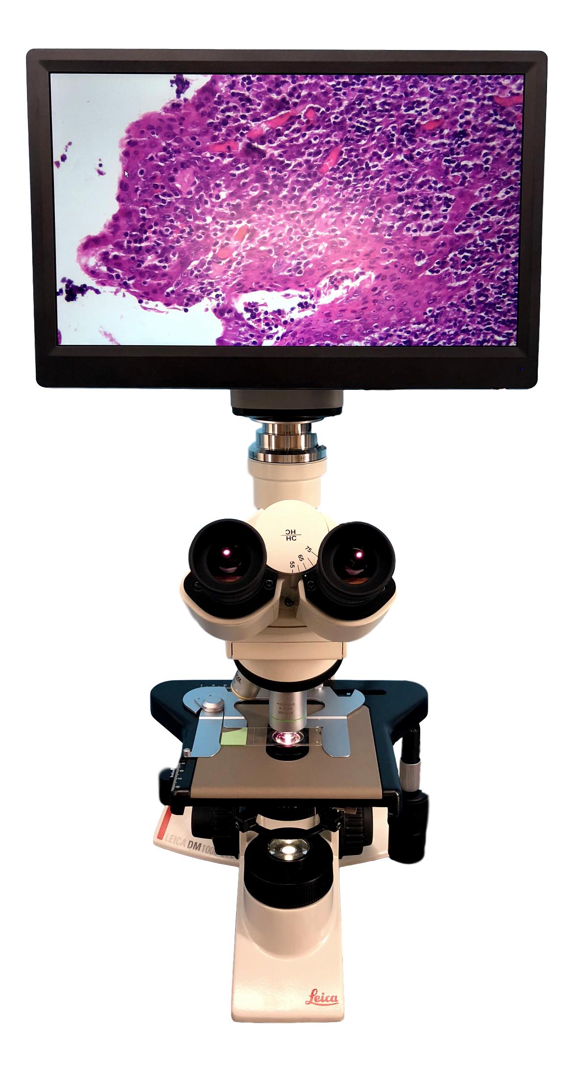 Leica DM1000 High Definition Digital Microscope