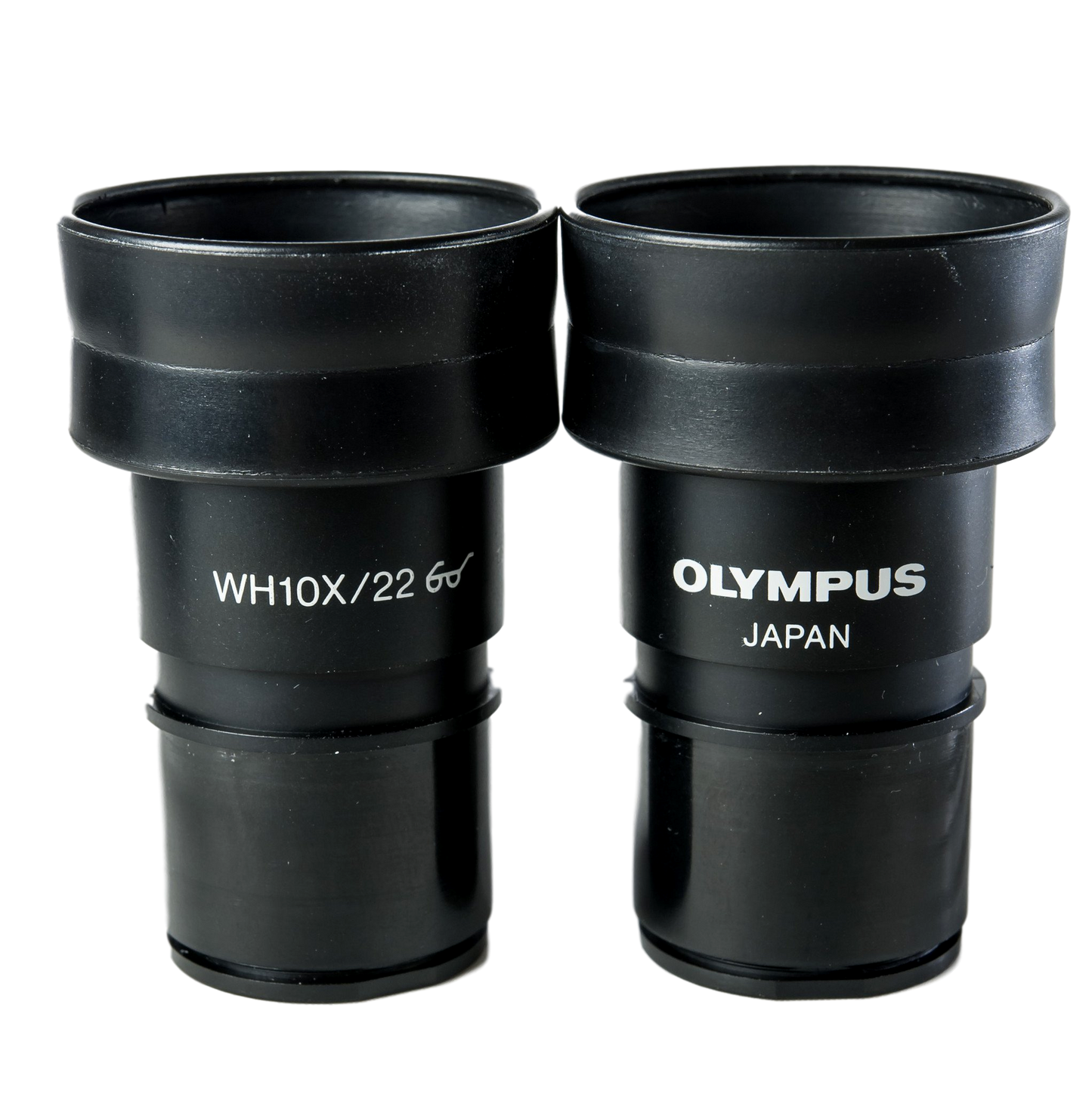 Olympus BX Series Binocular Head