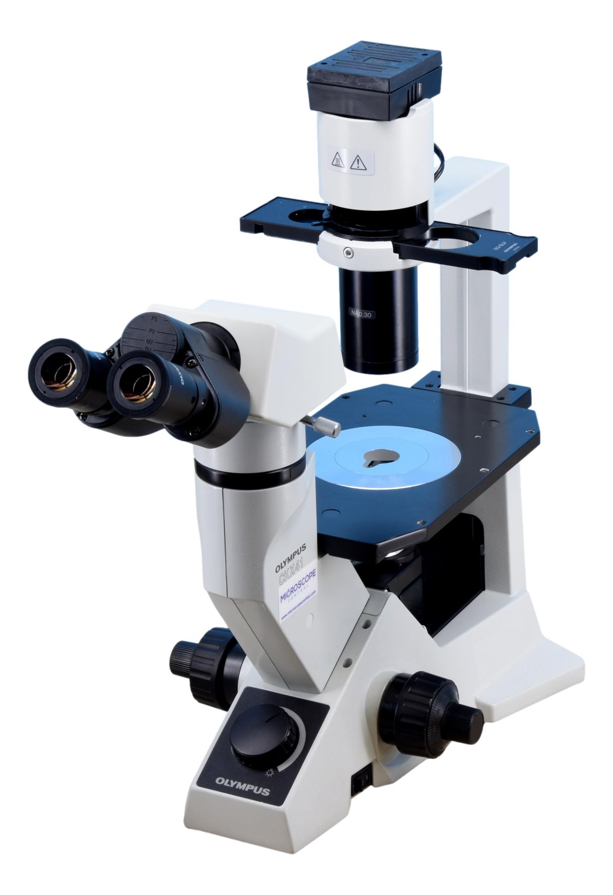 Olympus CKX41 Inverted Phase Contrast Microscope