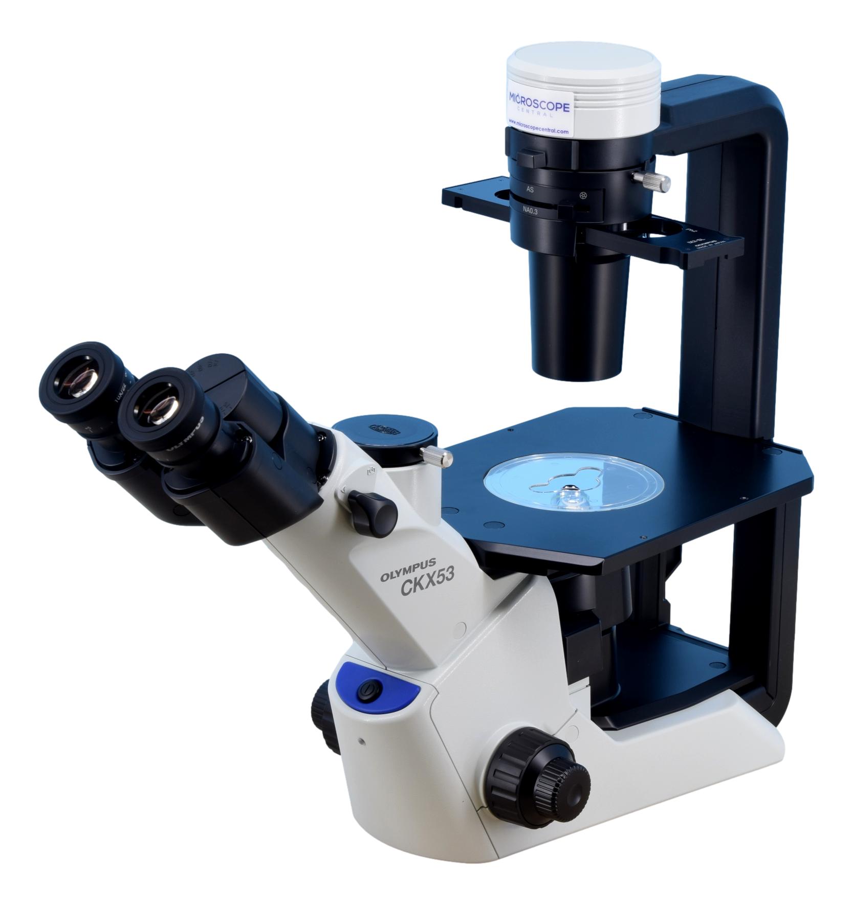 Olympus CKX53 Inverted Microscope | Serviced With Warranty – Microscope  Central