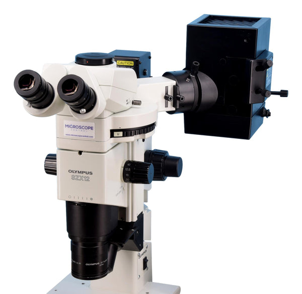 Olympus SZX12 Stereo Fluorescence Microscope Microscope Central