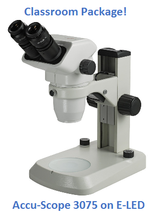 Accu-Scope 3075 on E-LED Stand Classroom Package - Microscope Central