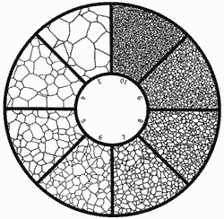 Untwinned Grains 3-10 Reticle KR-808I