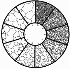 Untwinned Grains 1-10 Reticle KR-808K