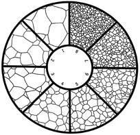 Untwinned Grains 1-8 Reticle KR-808H