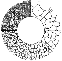Copper Grain Counting Reticle KR-808F