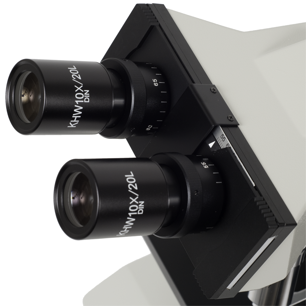 Eyepieces for Meiji ML5000 Microscope Series - Microscope Central
