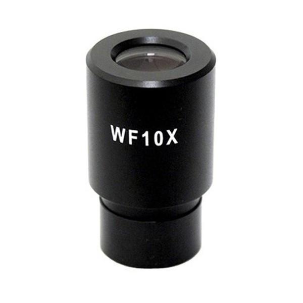 Eyepieces for Accu-Scope 3002 Microscope Series - Microscope Central