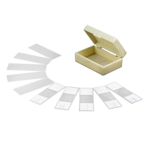 10 Prepared & Blank Microscope Glass Slides