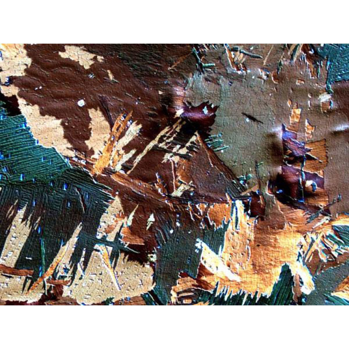 50X-500X High-performance Upright Polarized-light Microscope