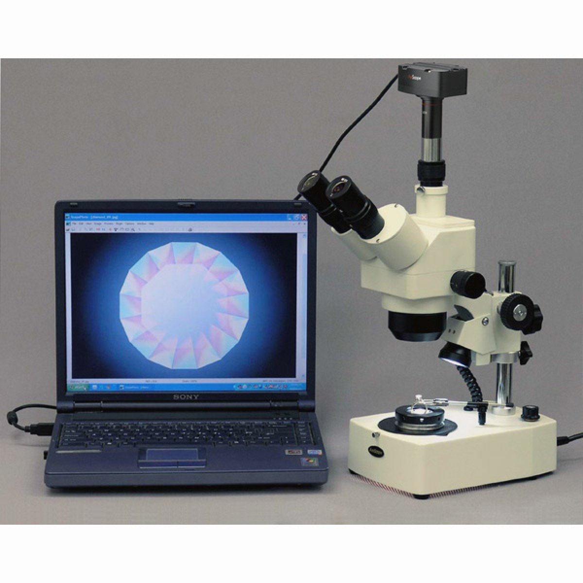 AmScope SH-2TY-DK-M Microscope