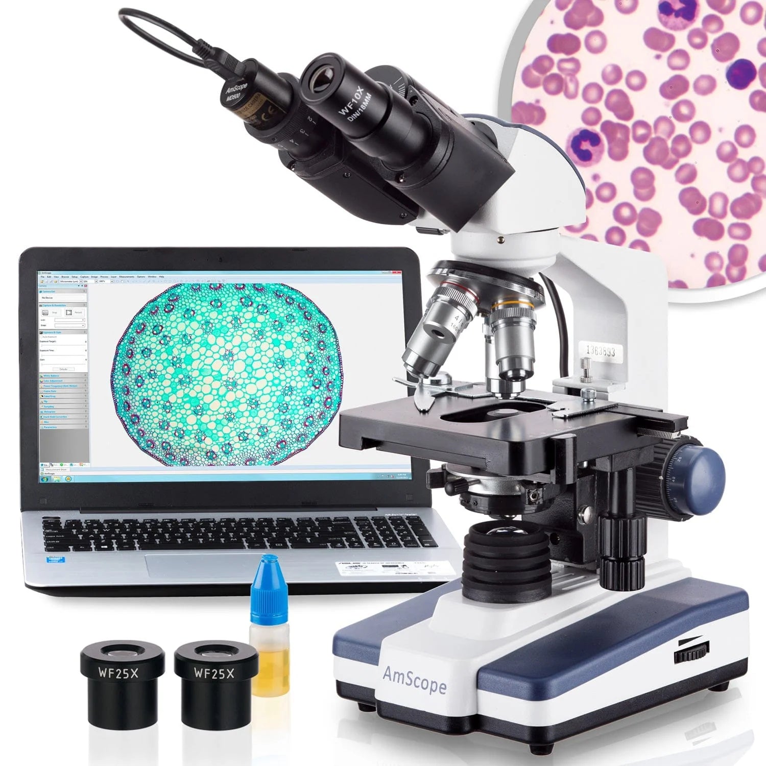 Compound Microscope Images