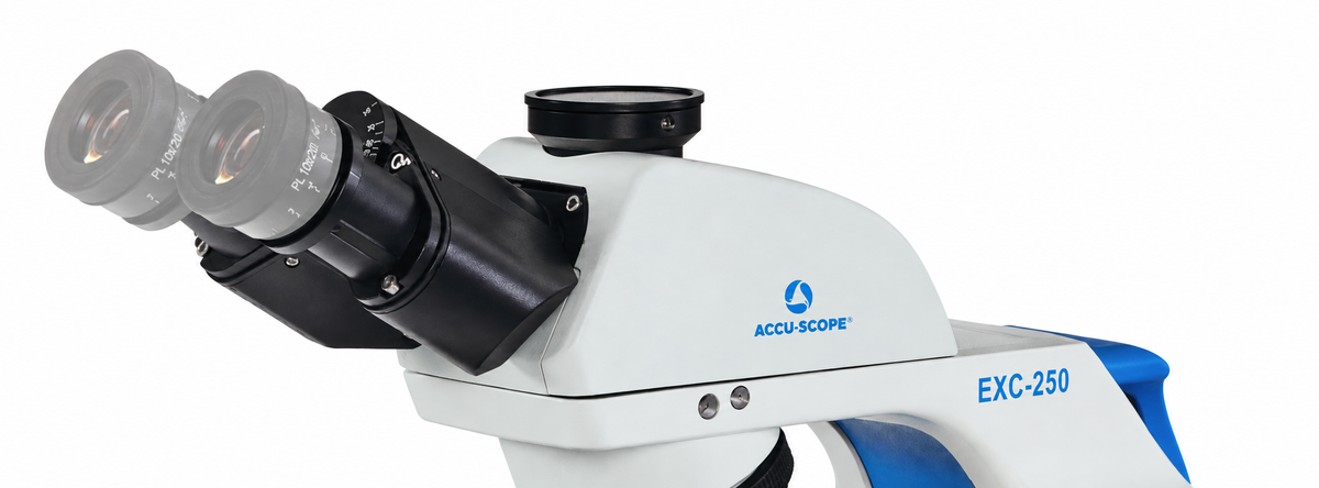Viewing Head For Accu-Scope EXC-250 Microscope
