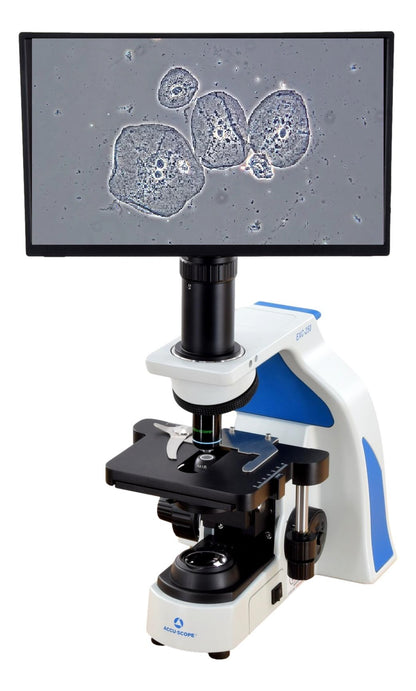 Accu-Scope EXC-250 Periodontist 4K Spirochete & Bacteria Microscope