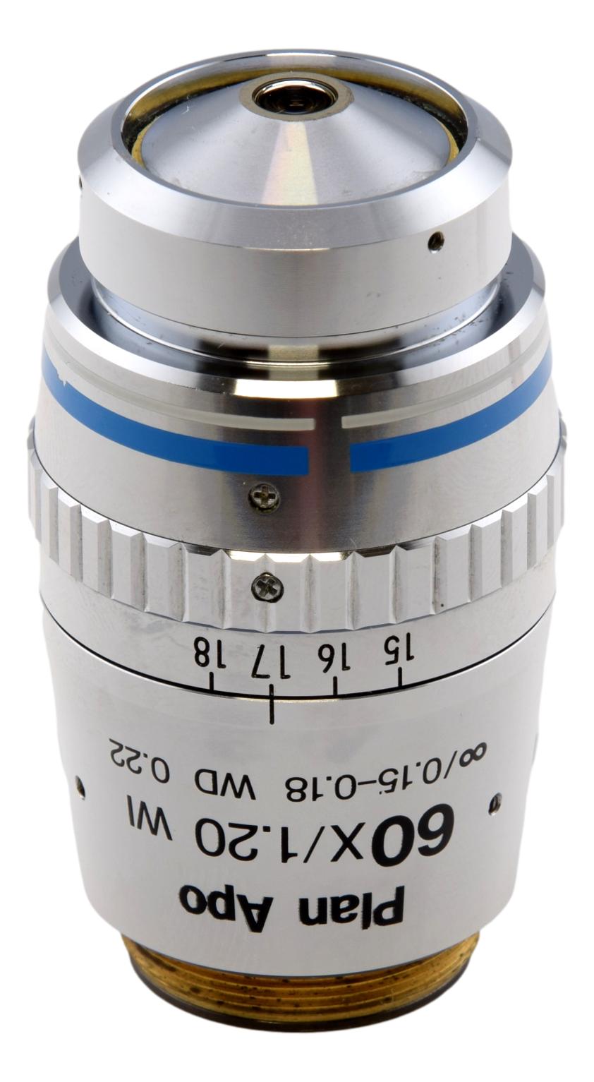 Immersion Microscope Nikon Plan Apo 60x WI Water Immersion Microscope Objective – Microscope ...