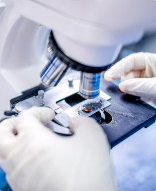 Routine Microscopy Clinical – Microscope Central