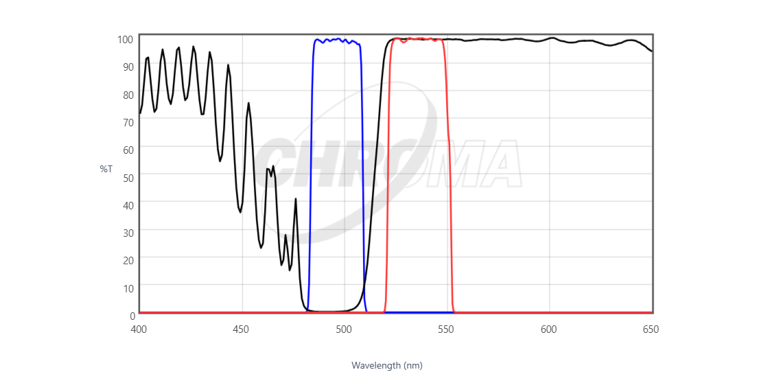 Chroma 49303 ET - Green#1 FISH Filter Set
