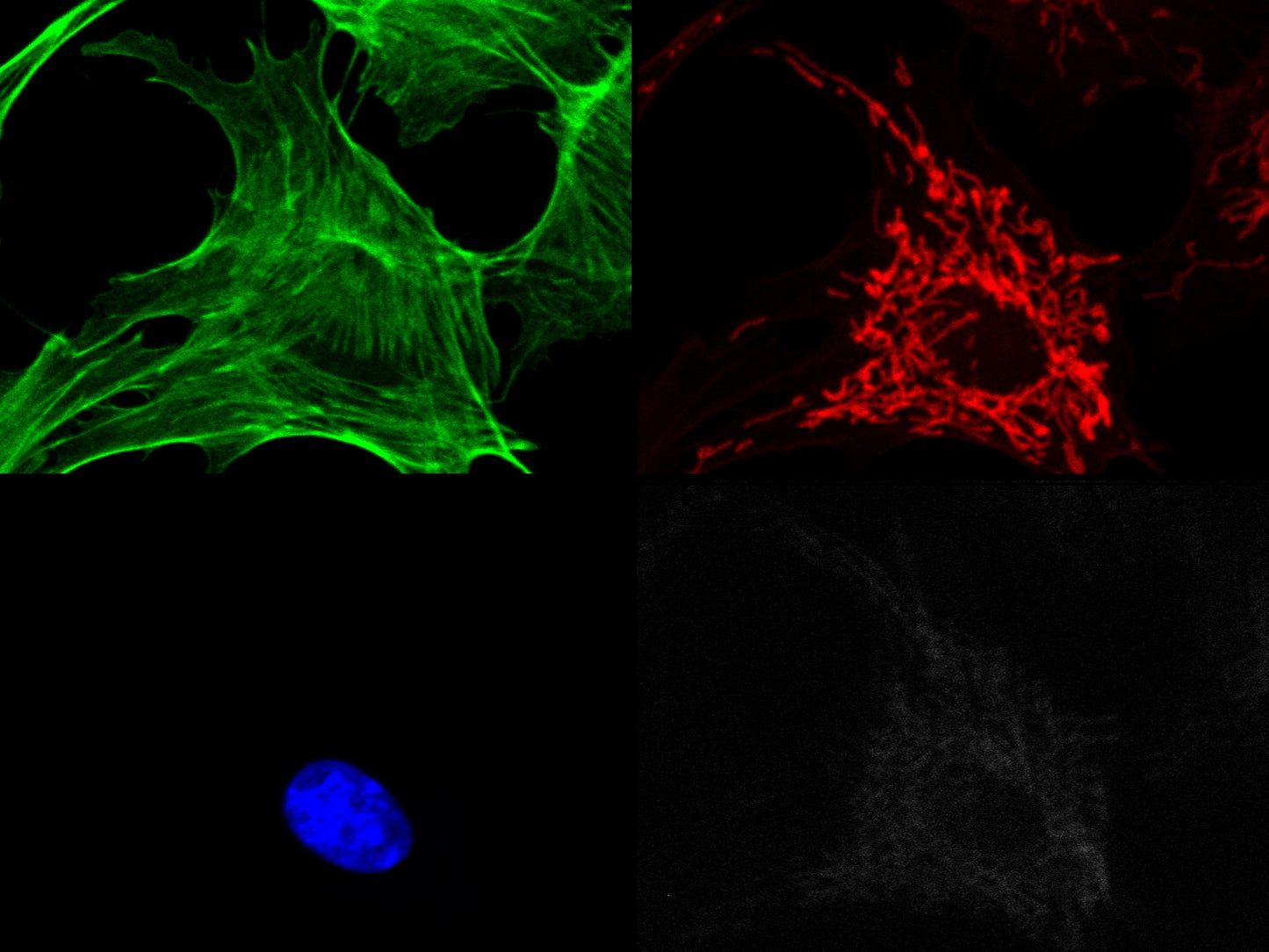 MultiSplit products from Cairn Research