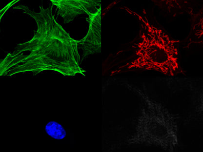 MultiSplit products from Cairn Research
