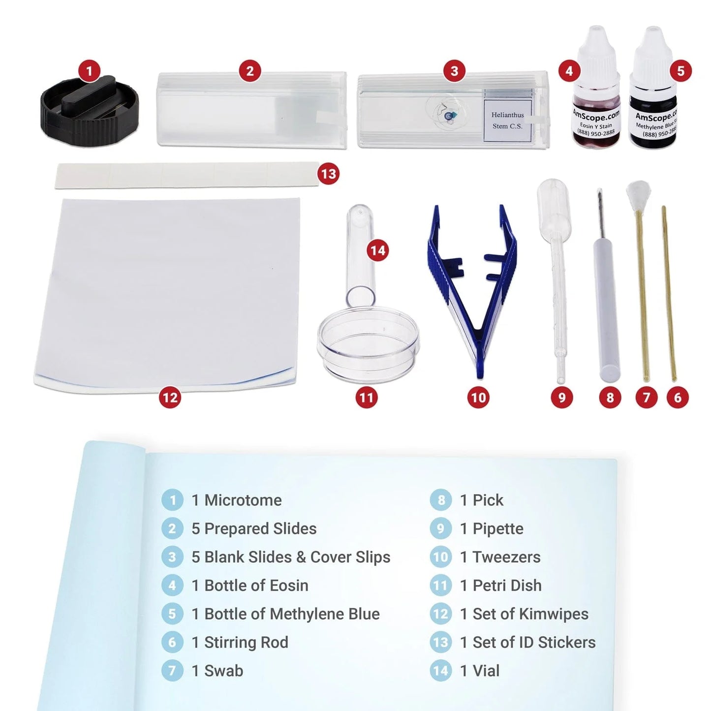 Microscope Slide Preparation Kit Including Slides, Stains
