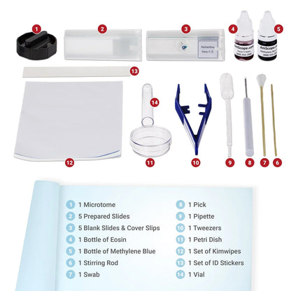 Microscope Slide Preparation Kit Including Slides, Stains
