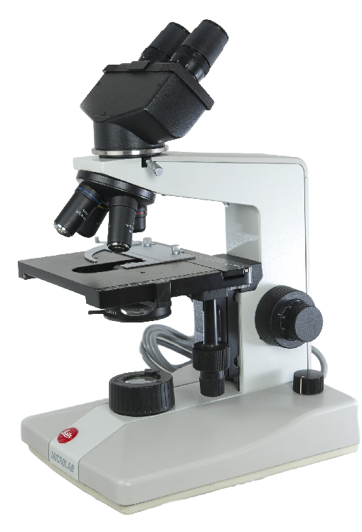 Leitz Microlab Binocular Microscope