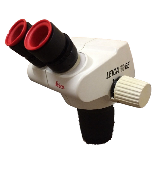 Leica GZ6E Stereo Zoom Microscope - Microscope Central