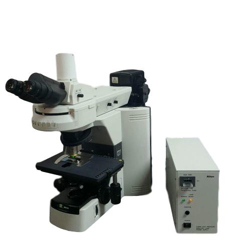 Nikon 80i Fluorescence Microscope