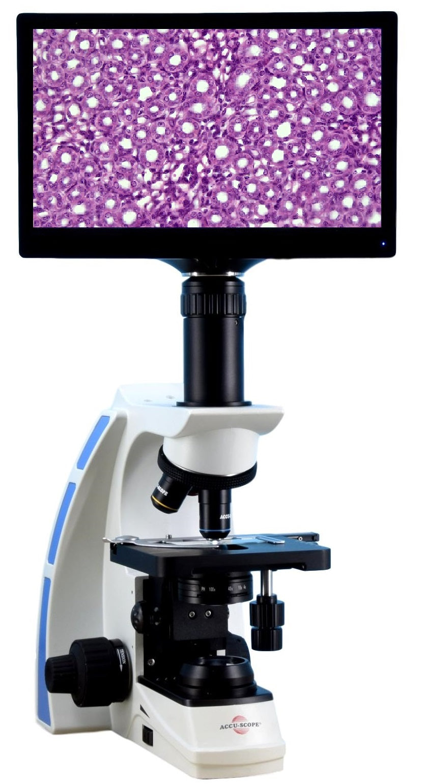 Accu-Scope 3000 Direct Video Microscope| Microscope Central