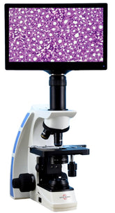 Buy Compound Microscope | Compound Microscopes – Microscope Central