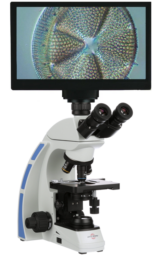 HD Digital Phase Contrast Microscope
