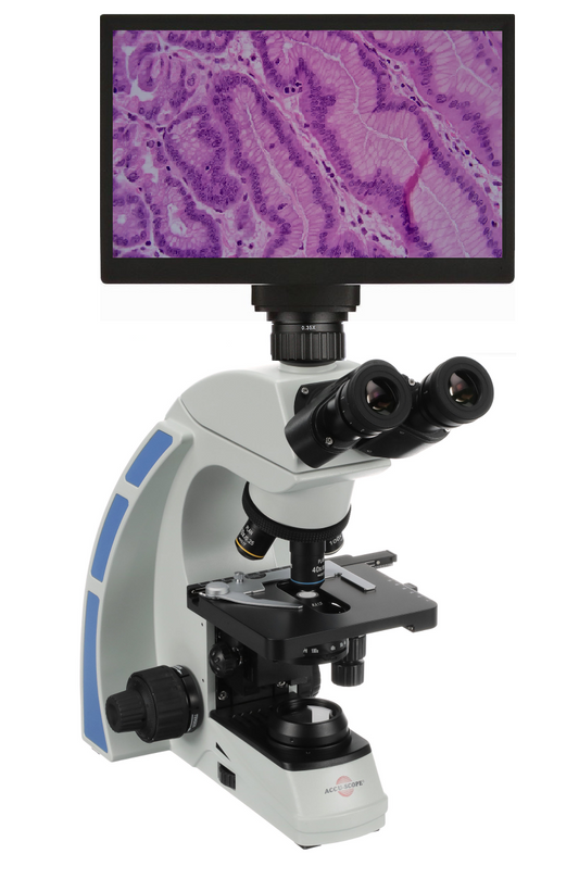 Digital MOHS Surgery Microscope