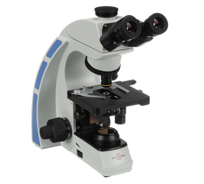 Olympus CX31 Microscope Series – Microscope Central