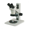 Accu-Scope 3072 Stereo Microscope On Plain Focusing Stand