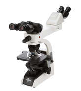Multi-Head Microscopes – Microscope Central