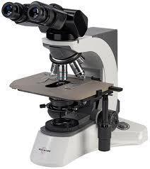 Accu-Scope 3025 LED Phase Contrast Microscope