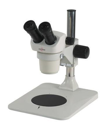 Dissecting Microscopes | Microscope Central
