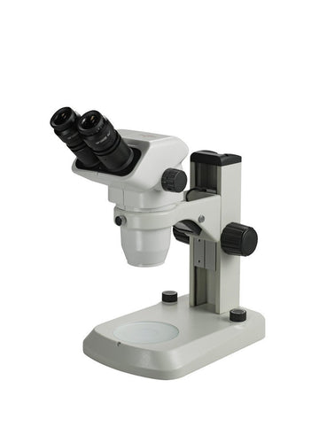 Dissecting Microscopes | Microscope Central