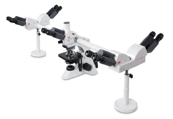 Multi-Head Microscopes – Microscope Central